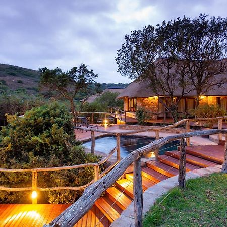 Lalibela Game Reserve Mark'S Camp Grahamstown Eksteriør bilde
