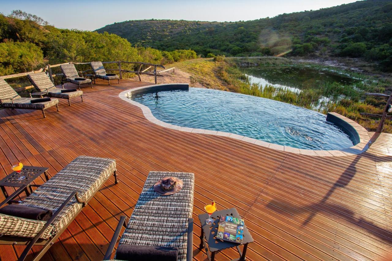 Lalibela Game Reserve Mark'S Camp Grahamstown Eksteriør bilde