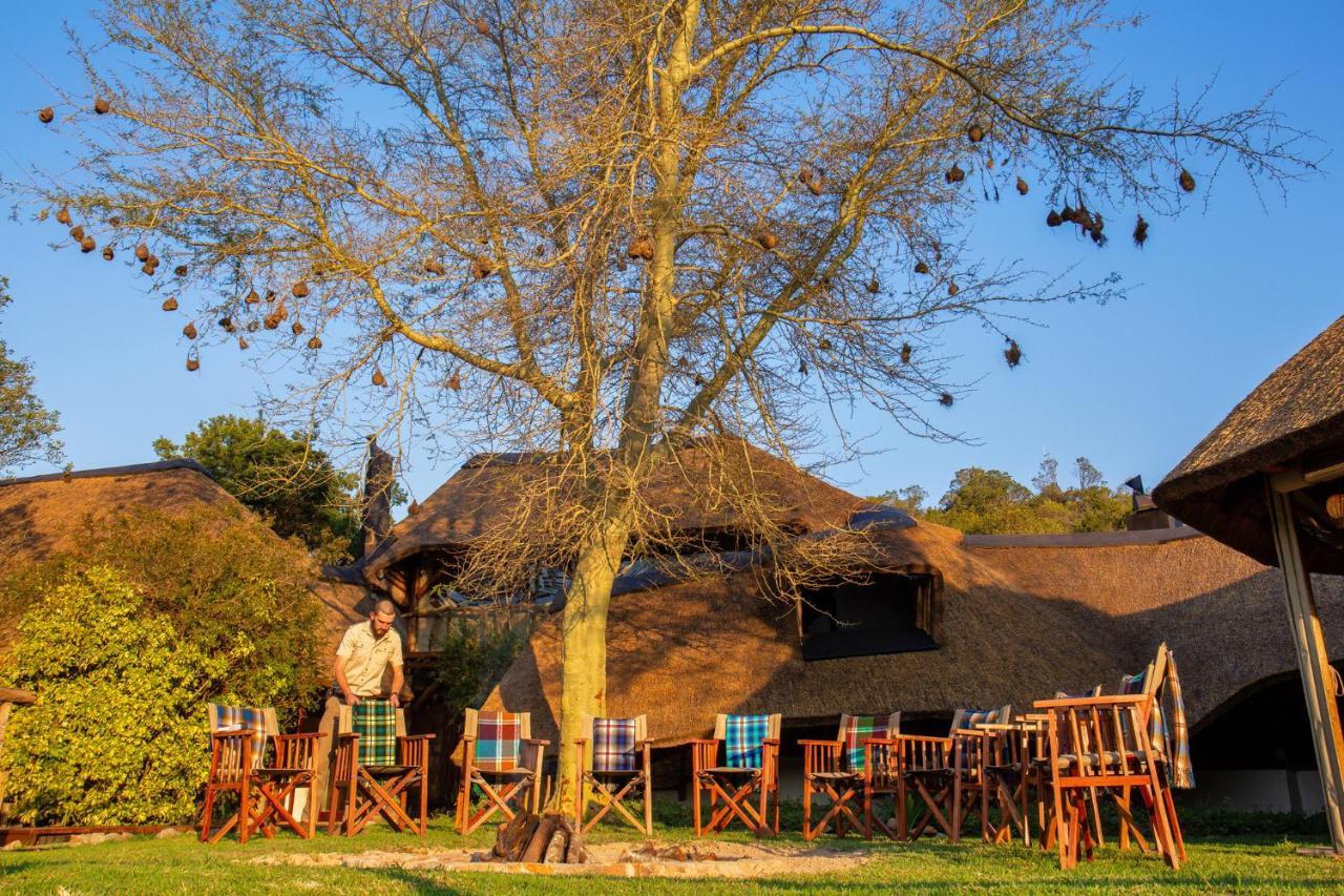 Lalibela Game Reserve Mark'S Camp Grahamstown Eksteriør bilde