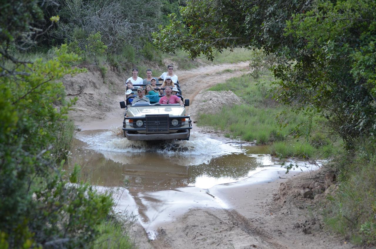 Lalibela Game Reserve Mark'S Camp Grahamstown Eksteriør bilde