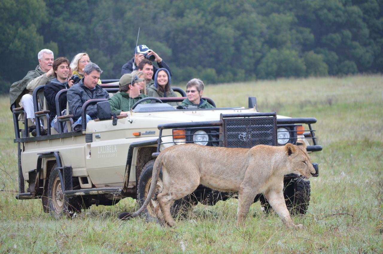 Lalibela Game Reserve Mark'S Camp Grahamstown Eksteriør bilde